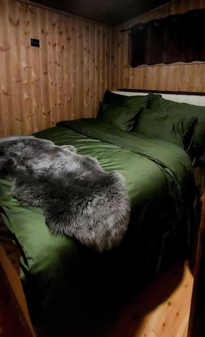 Cabin Aurora Borealis Sommarøy Zewnętrze zdjęcie